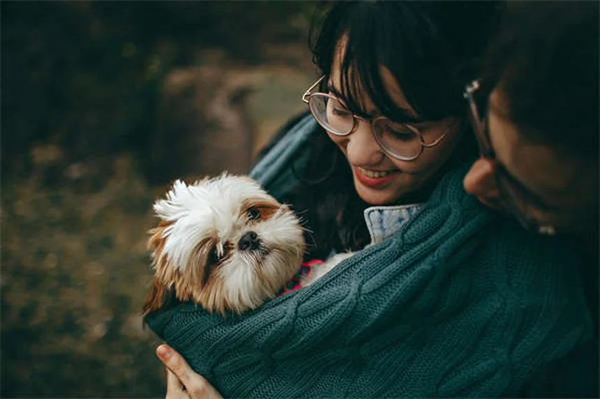 Cytoxan para perros y gatos: Guía completa sobre este medicamento contra el cáncer
